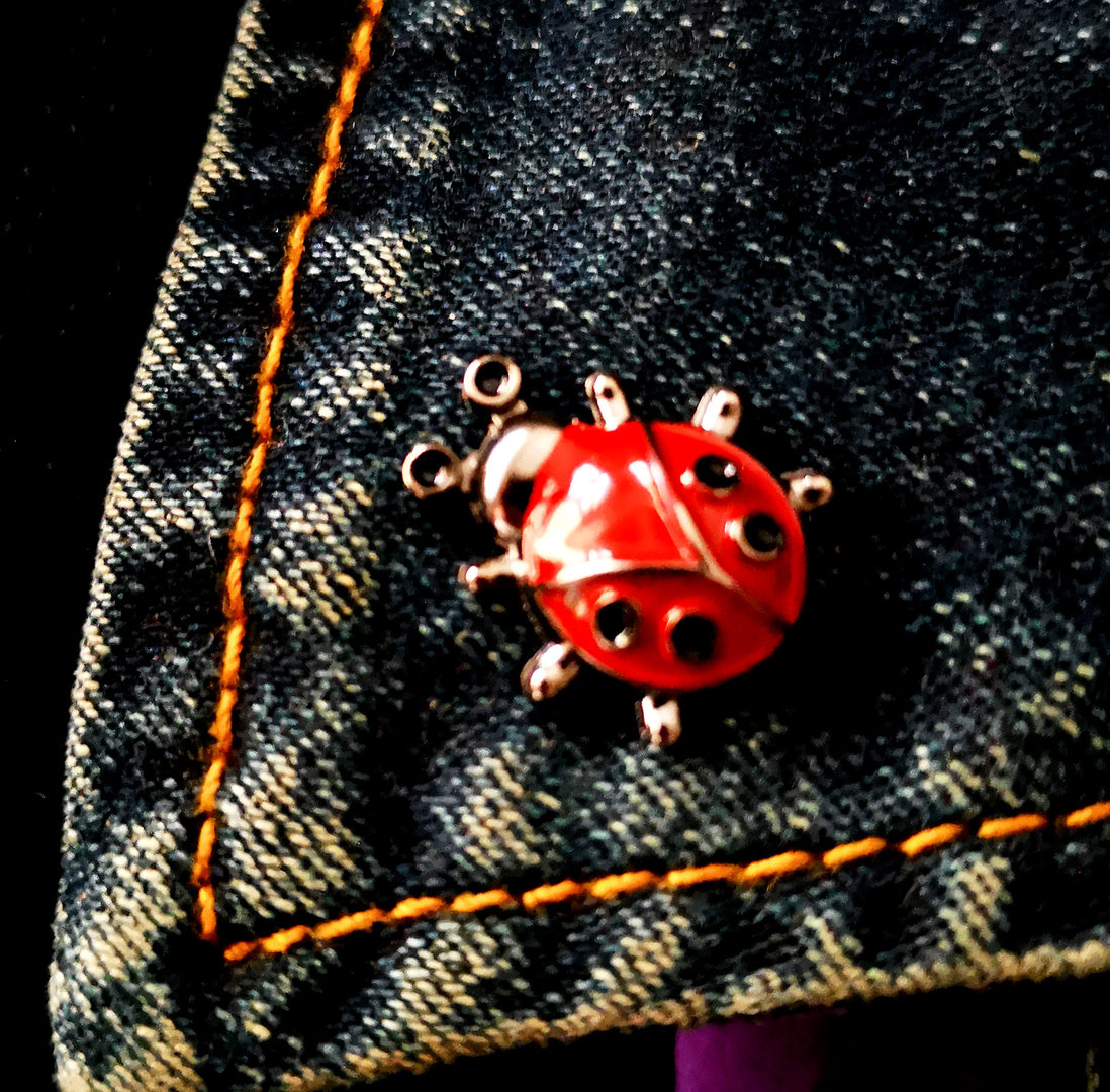 Marienkäfer Ladybug Insekt Tiere Glücksbringer Metall Button Pin Anstecker 0498 